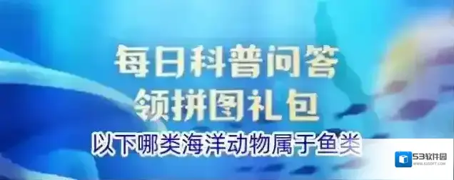 以下哪类海洋动物属于鱼类