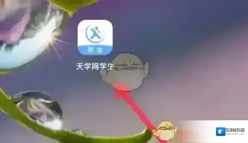 天学网点击