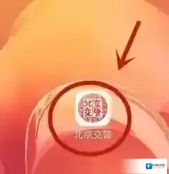 北京交警在里面