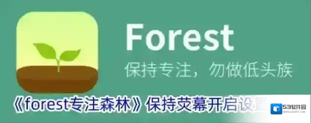 Forest专注森林