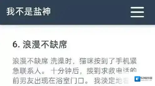我不是盐神网页