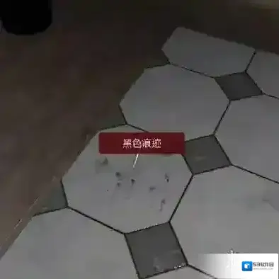 孙美琪疑案袁家宾馆袁家