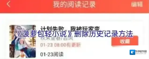 菠萝包轻小说点击