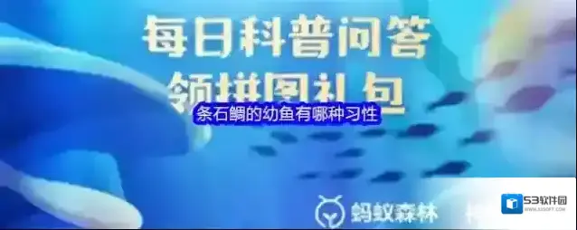 条石鲷的幼鱼有哪种习性