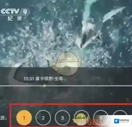 HDP直播清晰度