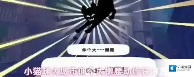 小猫咪大城市懒腰
