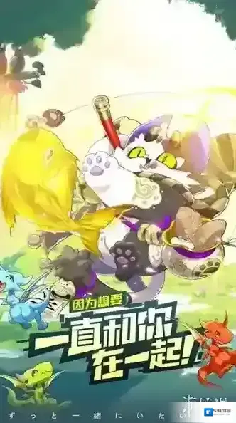 口袋觉醒购买