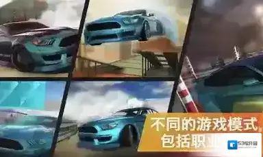 极限漂移专家专家