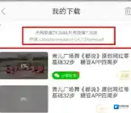 糖豆下载的歌曲