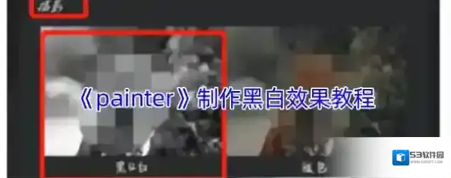 《painter》制作黑白效果教程