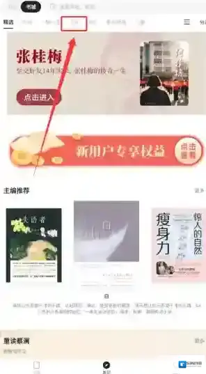 掌阅精选主题