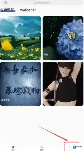 彩虹主题壁纸主题壁纸
