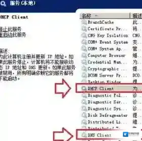 无法清除dns缓存怎么办
