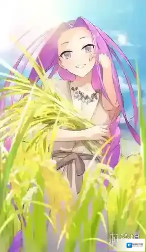 fatego礼装