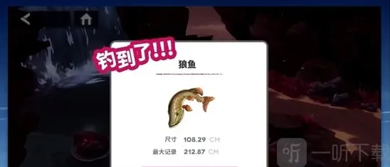 银河境界线玩家