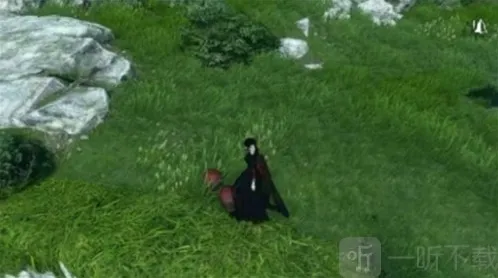 逆水寒手游剑有千钧奇遇任务怎么完成 剑有千钧任务完成攻略