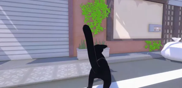 小猫咪大城市就可以