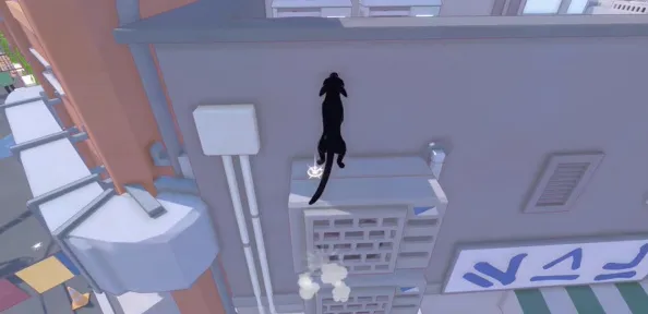 小猫咪大城市在这个