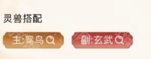 寻道大千生命