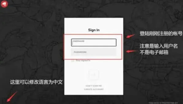 《无畏契约》查看游戏ID实用指南