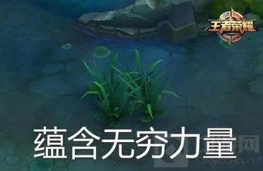 王者荣耀残血