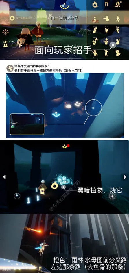 光遇一览