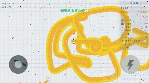 贪吃蛇大作战闪退怎么造成的 闪退解决办法