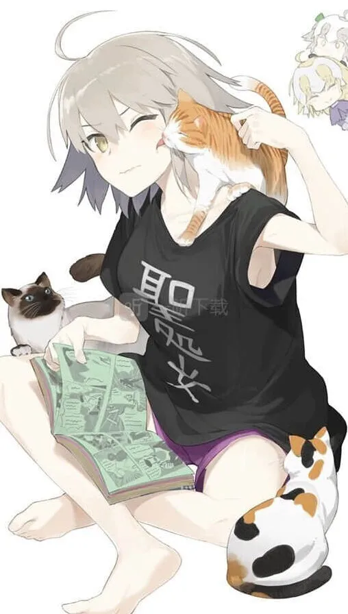 fgo6月1日维护更新了什么流程