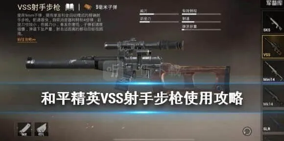 和平精英VSS详细使用攻略