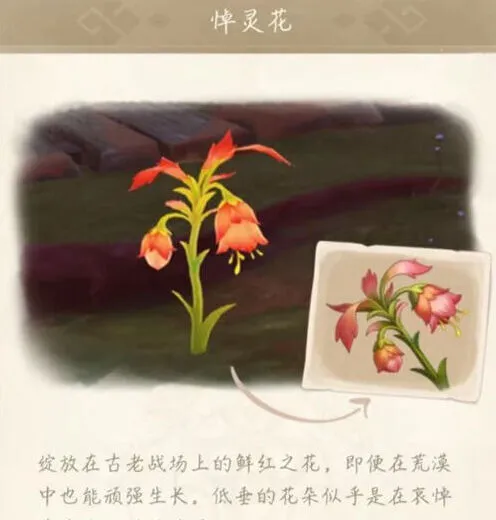 原神悼灵花刷新时间全攻略
