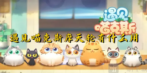 遇见摩天轮用处全攻略