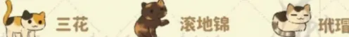《桃源深处有人家》：猫咪喜好一览
