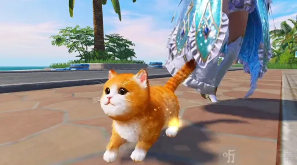 《和平精英》修改猫咪名字指南