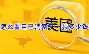 美团如何查看美团消费总额步骤详解