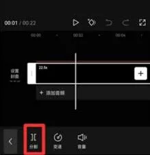 剪映局部消音操作指南