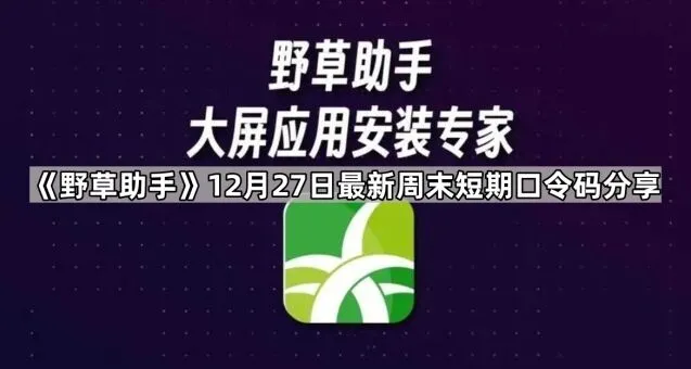 夸克12月27日最新周末短期口令码分享方法详解