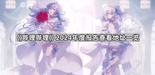 哔哩哔哩：2024年度报告查看地址一览