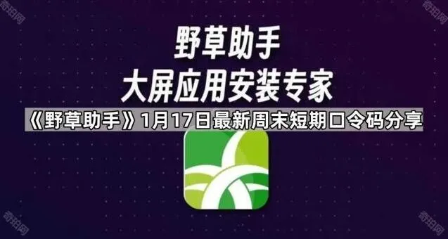 TA最新周末短期口令码分享操作步骤