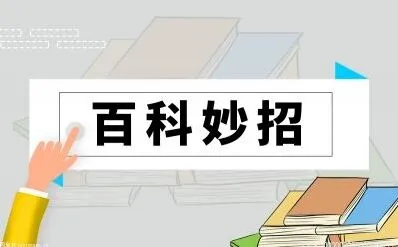 torrentkitty电影下载地址使用步骤分享