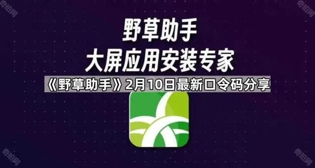 《野草助手》2月10日最新口令码分享详细步骤