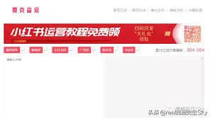 小红书笔记多久发布一次合适技巧分享