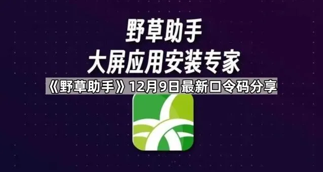 《TA》：12月9日最新口令码分享教程