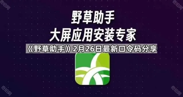 《TA》2月26日最新口令码分享技巧