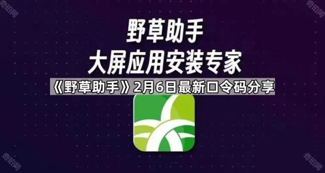 野草助手最新口令码分享方法
