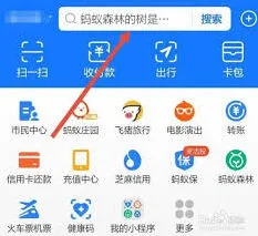 《支付宝》：查看健康码URL代码全教程