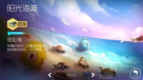 球球大作战进化知识怎么看进度