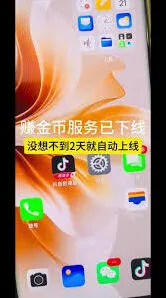 抖音极速版金币不见了的找回指南