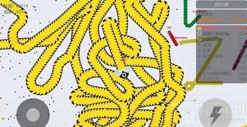 贪吃蛇大作战2万分高分截图分享