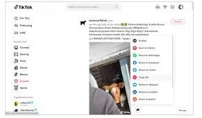 TikTok网页版最新地址使用指南