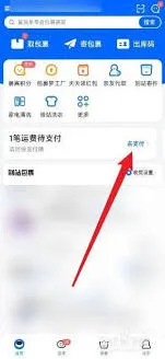 菜鸟app如何支付寄件费用指南